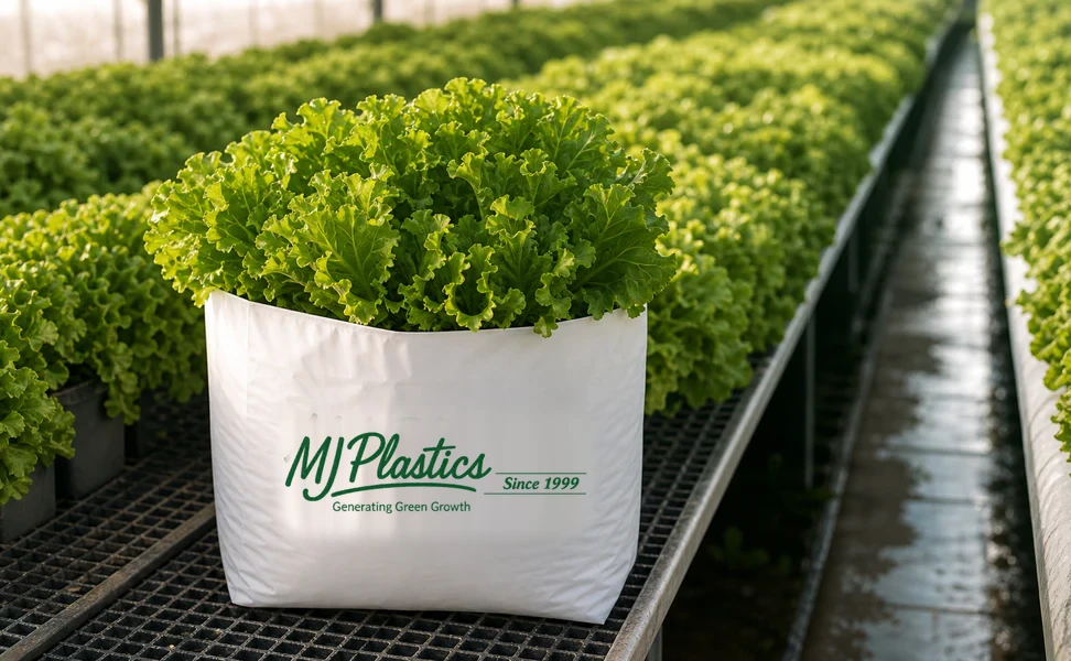 Leafy greens in a branded MJ Plastics grow bag on a greenhouse irrigation bench