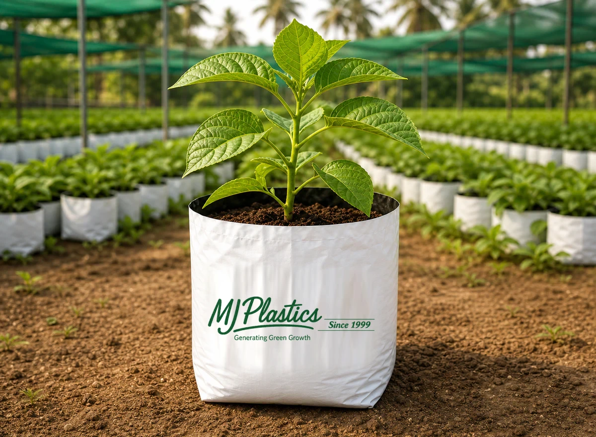 Large branded MJ Plastics grow bag with a healthy young plant in a commercial nursery
